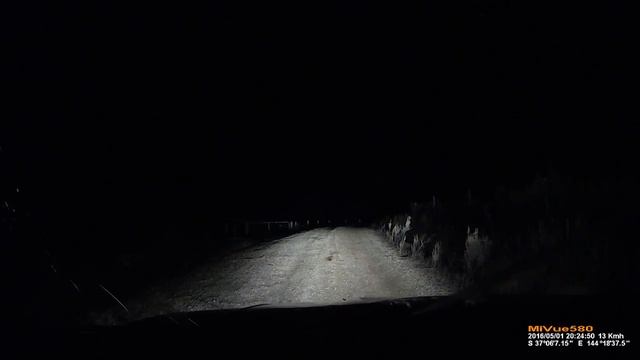 Кенгуру против Автомобиля (слава богу в России коровы не прыгают....) смотреть онлайн