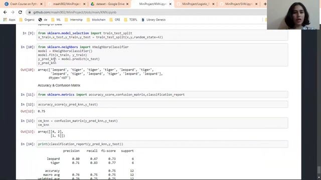 #8 Image Classification Using ML | Advanced Python Mini Project | For Intermediate смотреть онлайн