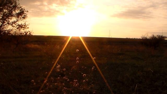 Три часа на поиск монет и Скифов с XP DEUS смотреть онлайн