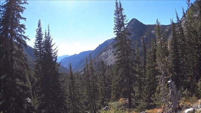 6 Days Alone In The Woods (Day2) Solo Overnight Backpacking Trip смотреть онлайн