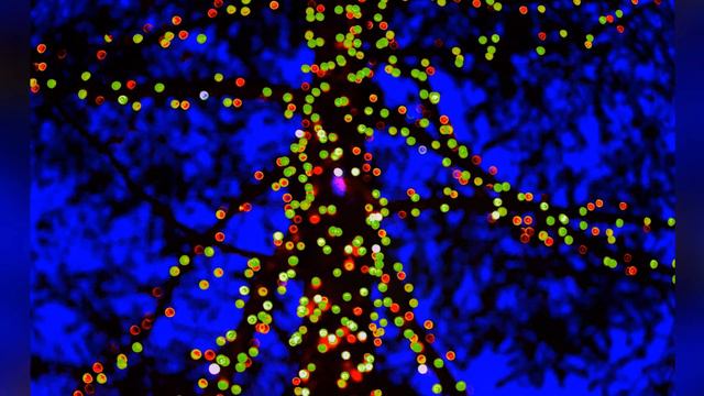 ФОТО МИГ смотреть онлайн