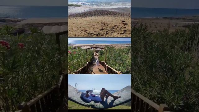 новый обзор уже на канале tui magic life jacaranda #berlianaworld #vlog #турция #сиде смотреть онлайн