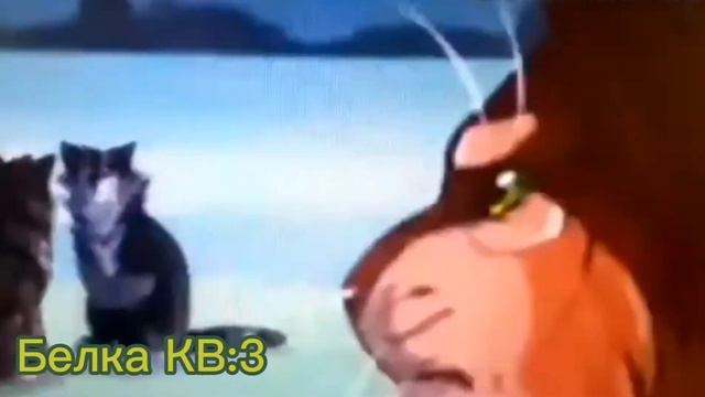 коты воители •Коршун• ~•Клип: Волк в Овечьей Шкуре~• смотреть онлайн