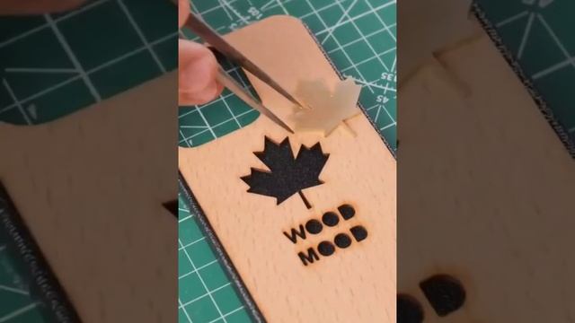 You have never seen such quality!!!Case for iPhone!#sorts #shprts#iphone #cover Like,subscribe,comm смотреть онлайн