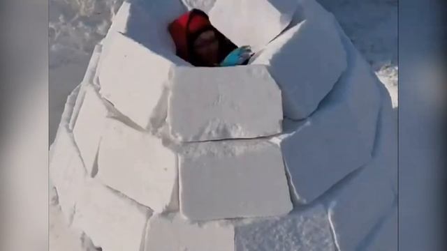 Как построить дом из снежных блоков смотреть онлайн