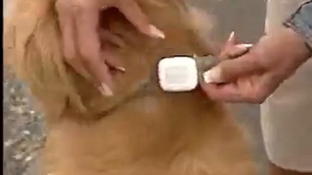 Personal Trainer: Walking - Benefits Of Walking With Race Walker And Walking Expert Mark Fenton