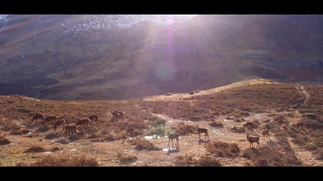 ICandy For Land Rover All Terrain.