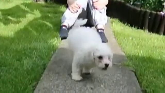 Harvey - Slow Motion Nikon 1 J2 смотреть онлайн