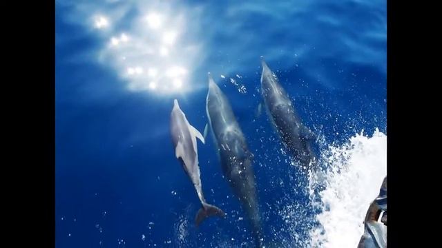 Greece. Греция.