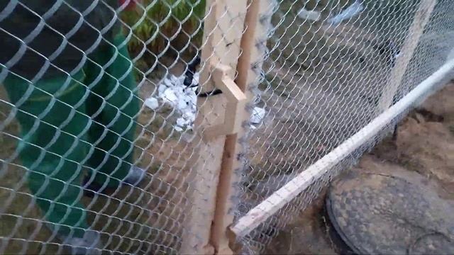 Стройка дома. Начало. Временный забор условно за 20 $. смотреть онлайн
