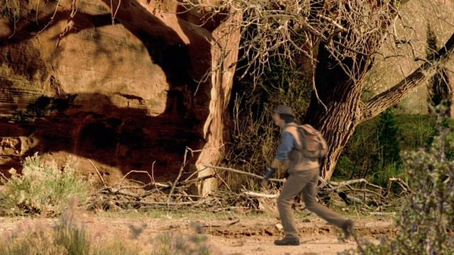 Finding Dinosaur Footprints | Andy's Prehistoric Adventures | Andy's Amazing Adventures смотреть онлайн
