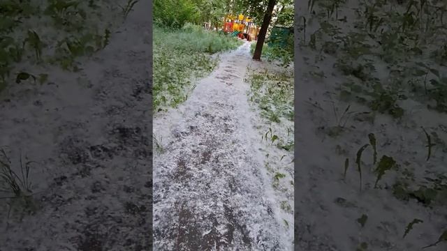 Тополиный пух, жара, июнь. смотреть онлайн