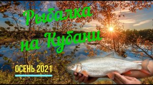 Рыбалка на Кубани ХОРОШИЙ улов Рыбец Карась Густера  Осень Краснодар старый авторынок