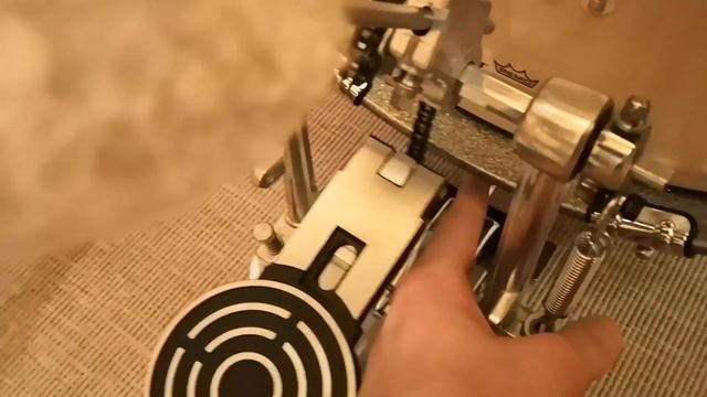 Sonor AQ2 Safari (unboxing & Test) - Распаковка, тест, кошки