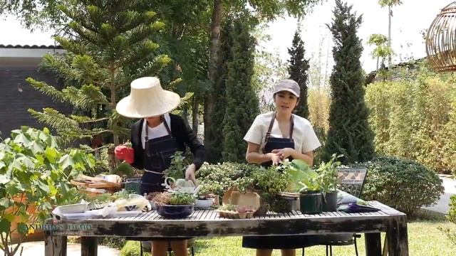 มิสแอนเดรียไดอารี่ EP11 15 พ.ค.59 смотреть онлайн