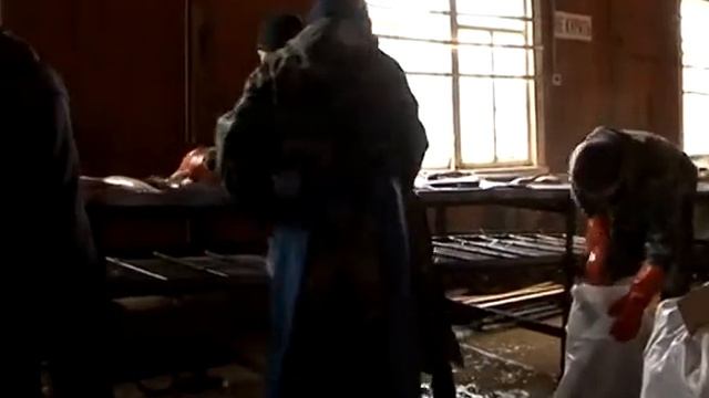 11 07 2014 Л Кобзева обработка рыбы смотреть онлайн