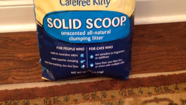 Premium Choice Cat Litter Review смотреть онлайн