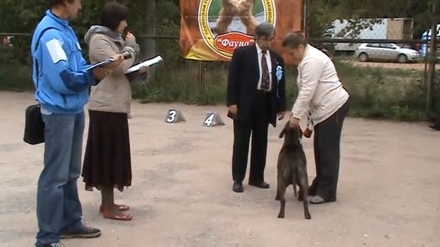 Vinchenco.mpg смотреть онлайн