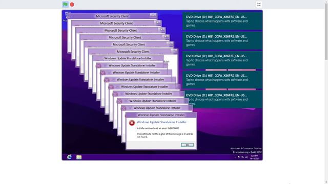 Windows 8 Crazy Error Consumer Preview