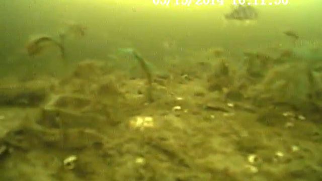 рыбалка 4 смотреть онлайн