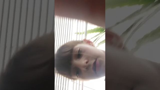 хахахаха смотреть онлайн