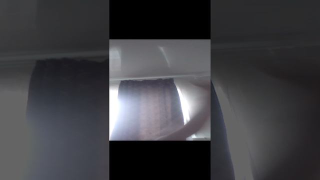 гигантский спрут смотреть онлайн