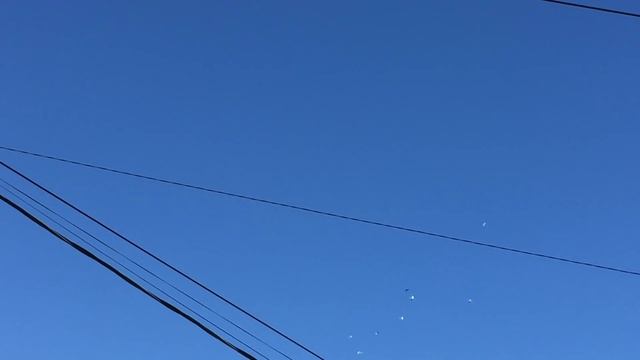 Как должны летать бойные голуби.часть 1. смотреть онлайн