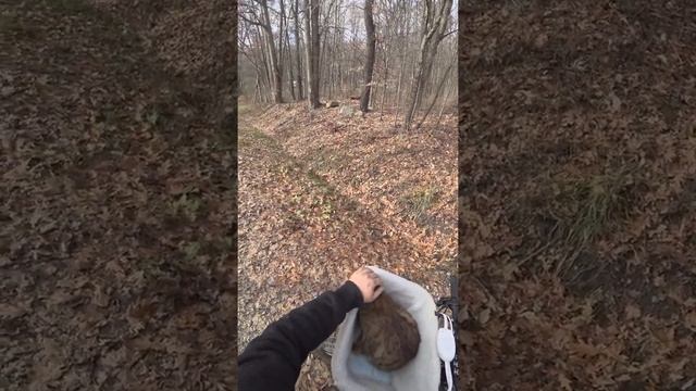 Proof of Concept: Heated Basket v1.0 смотреть онлайн