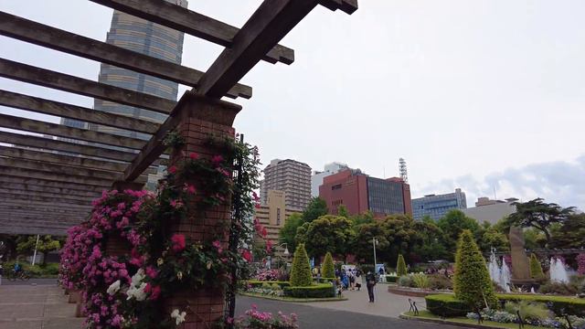 🇯🇵 LIVE! SPRING ROSE GARDEN MAY 18, 2023 | YAMASHITA PARK | YOKOHAMA JAPAN! 🇯🇵 смотреть онлайн