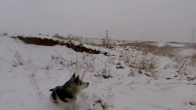 СЛОМАЛ ВЕЛОСИПЕД | ЗИМНИЙ ФРИРАЙД смотреть онлайн