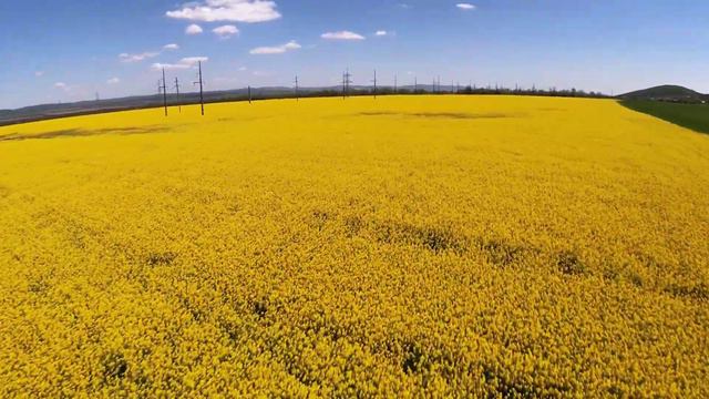 Анапа FPV смотреть онлайн