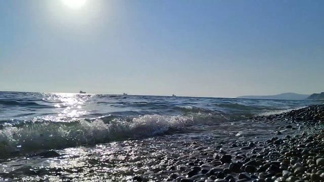 Отдых в Шепси и Сочи парк смотреть онлайн