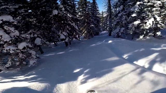 Шерегеш спуск с "Верблюдов" на сноубордах смотреть онлайн