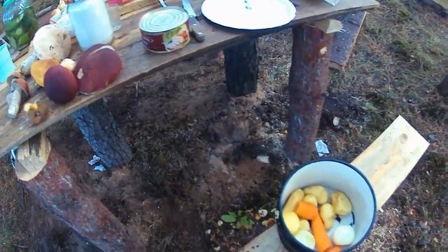 Ставим печь в избушку. Собираем грибы. смотреть онлайн