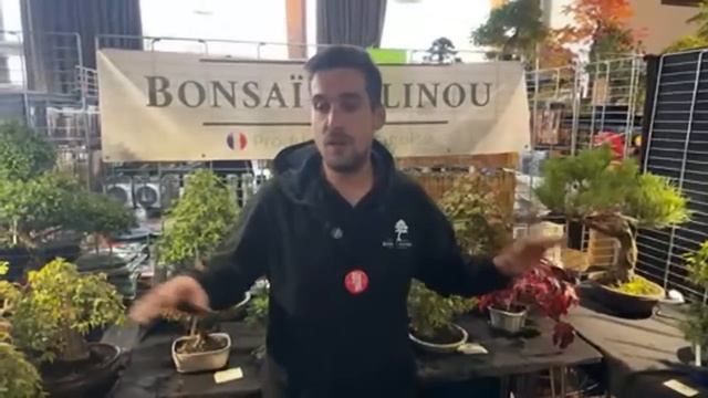 BALLADE CHEZ LES PROS DU MARCHÉ DE BONSAÏ CULTURE ? NEJIKAN BONSAI ? смотреть онлайн