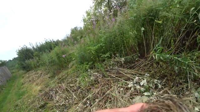 За ягодами в лог 21 июля 2020. смотреть онлайн