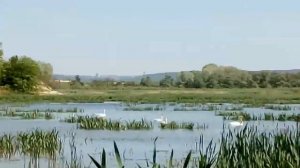 Кваканье Озеро в раевской 15 км.от новороссийска