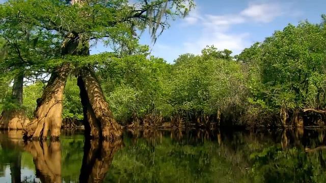 Go Fish, Georgia! - Georgia Fishing смотреть онлайн