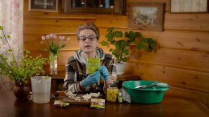 Чеснок портится, что делать?