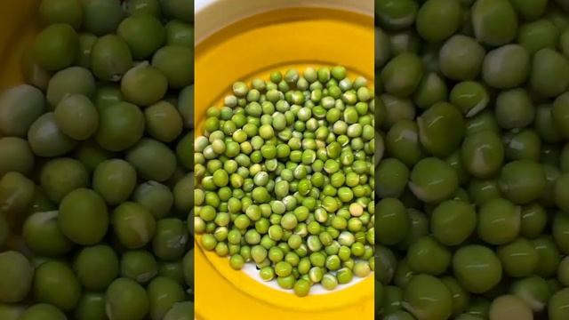 Проращивание семян гороха на микрозелень - справится каждый