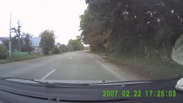 Гусь на дороге смотреть онлайн