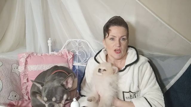 Сказки малышам. В гостях у Момми-Помми. Что лучше? Выпуск 4 смотреть онлайн