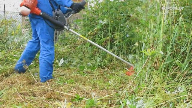 Покос высокой травы и бурьяна в Минске и Минской области триммером (бензокосой) смотреть онлайн