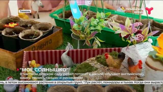 Детский сад «Моё солнышко» смотреть онлайн