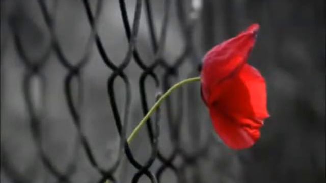 Anthony Phillips - Reminiscence смотреть онлайн
