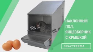КАК ОБУСТРОИТЬ ГНЕЗДО для кур_ СПАСЕНИЕ ОТ РАСКЛЕВА гнездо с наклонным полом и ЯЙЦЕСБОРНИКОМ!