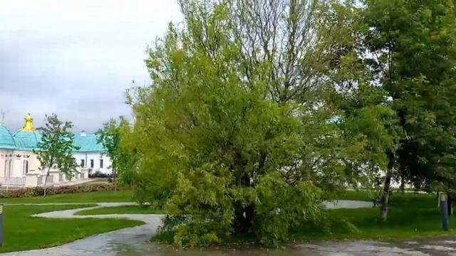 Надгробия. Некрополь Нового Иерусалима. 28 июля 2023 года. смотреть онлайн