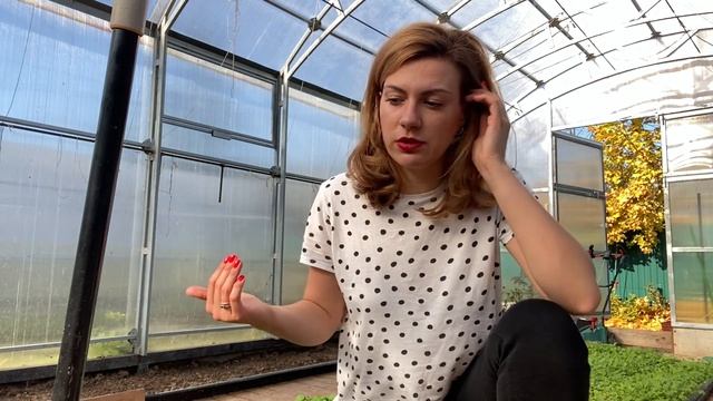 Подготовка теплицы после сбора урожая осенью и весной смотреть онлайн