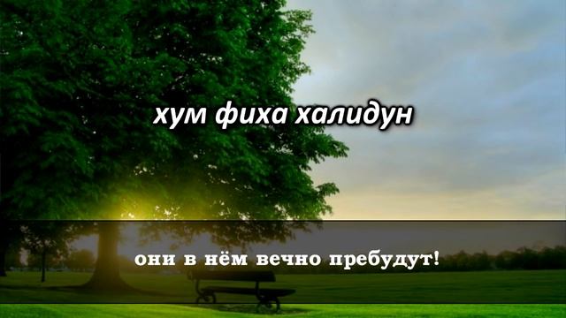 Аят Аль Курси слушать каждый день утром и вечером смотреть онлайн