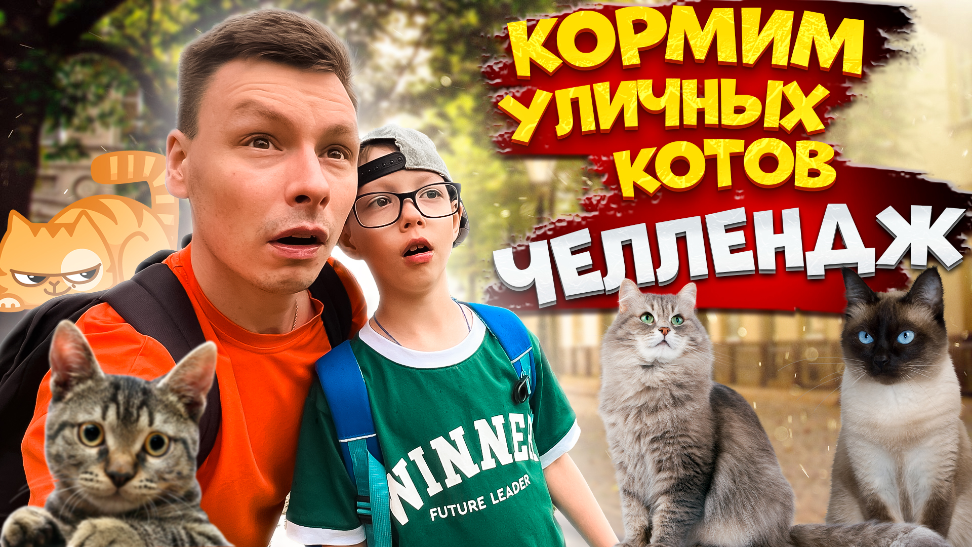 КОРМИМ УЛИЧНЫХ КОТОВ | ИСТОРИИ ПРО КОТОВ ПЕТЕРБУРГА смотреть онлайн